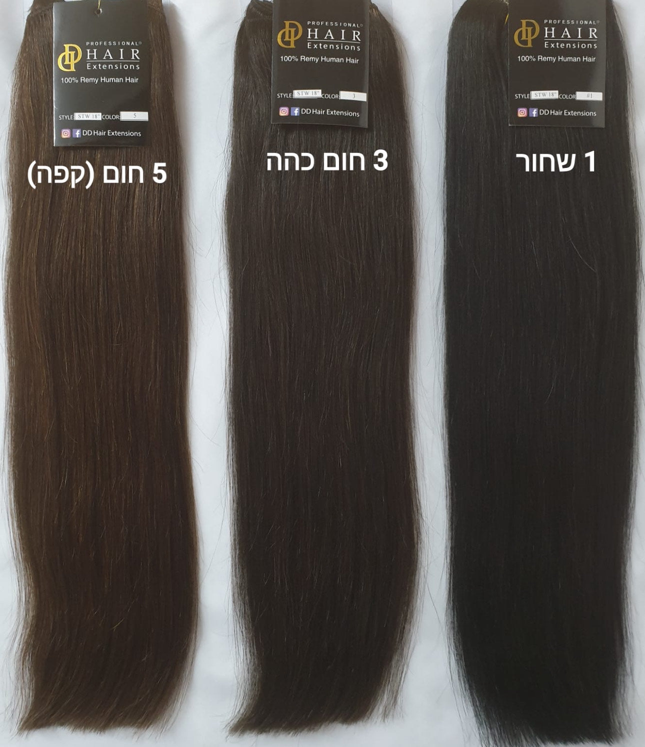 קליפסים מחולק