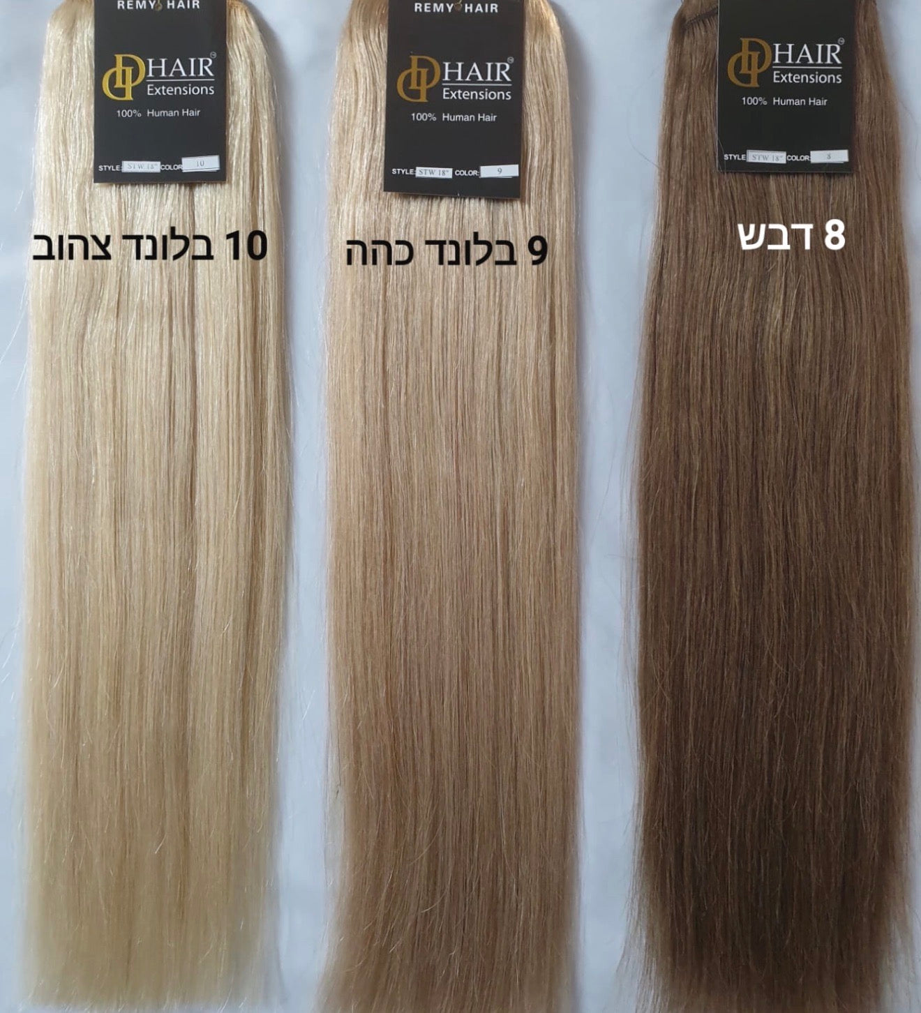 קשת קליפסים ארוכה